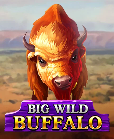 Play Big Wild Buffalo at All Wins Casino